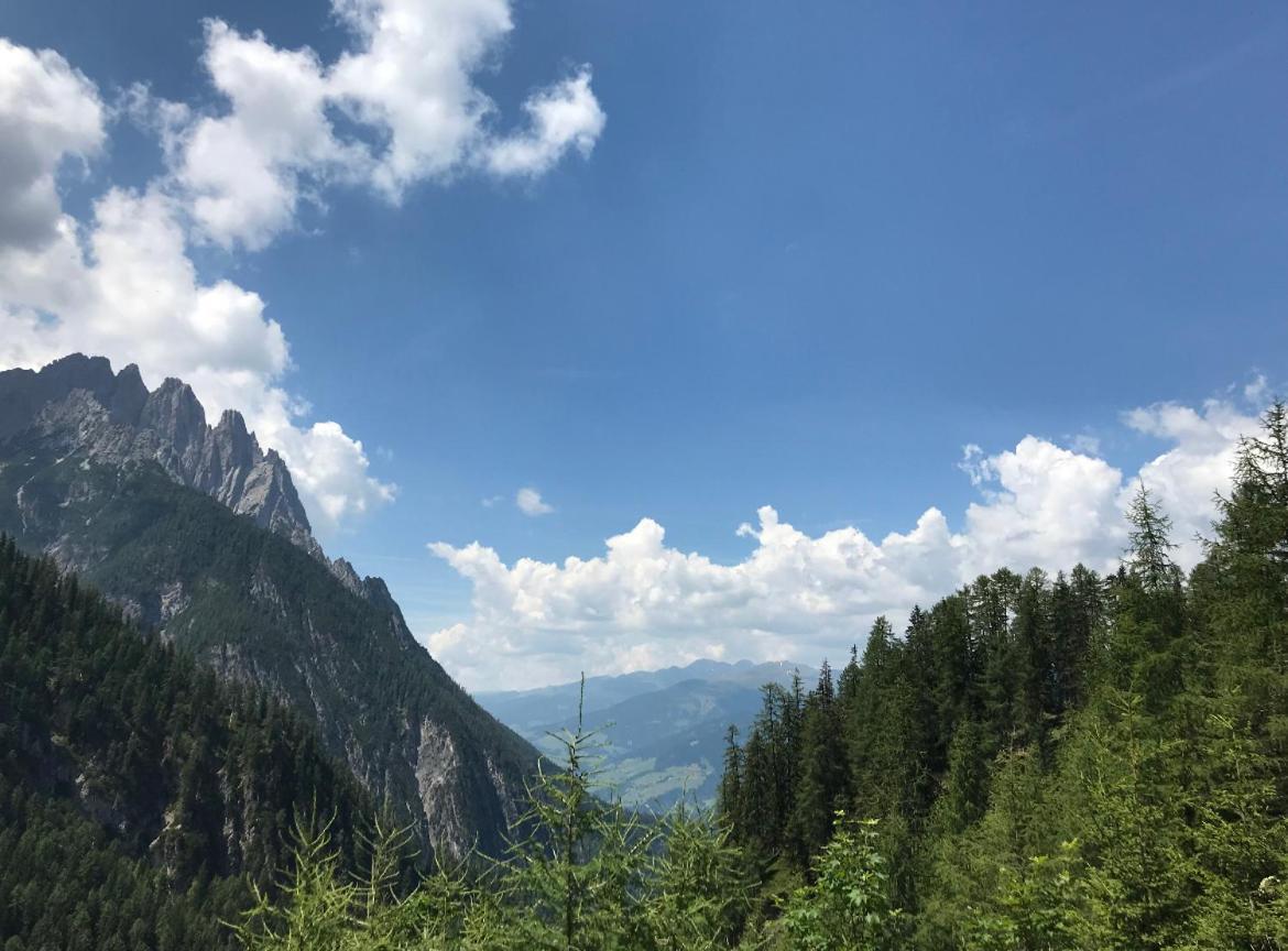 The Dolomiti View Daire Debant Dış mekan fotoğraf